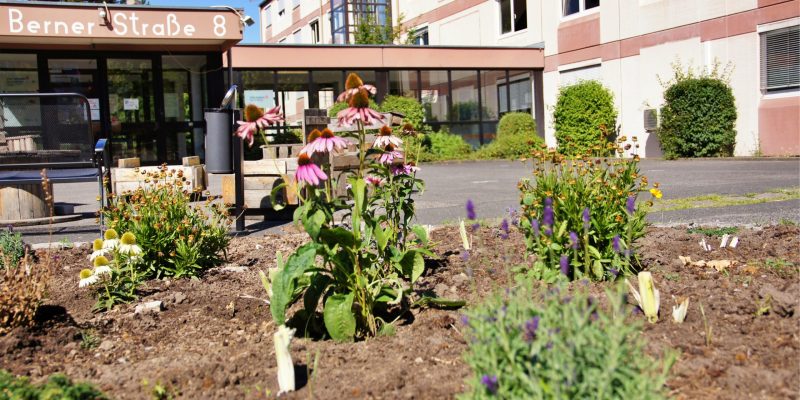 #378 (kein Titel) – Medizinisch-berufliche Rehabilitation für Menschen mit psychischer Erkrankung - dafür steht das Haus St. Michael in Würzburg.